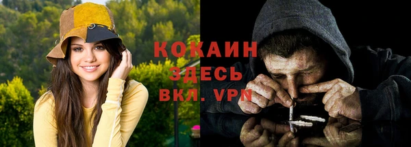 сатива Нефтекумск