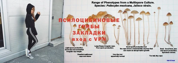 прущая мука Навашино