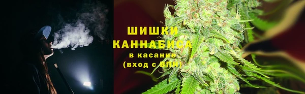 сатива Нефтекумск