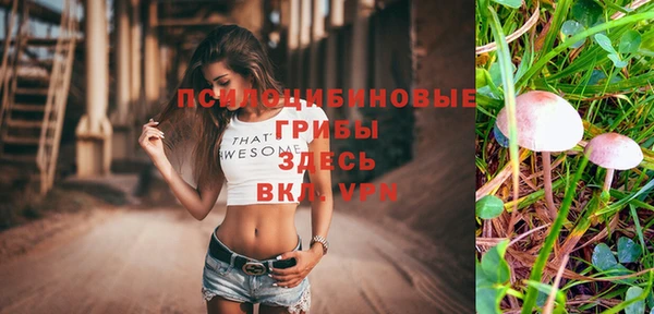 ALPHA PVP Нея