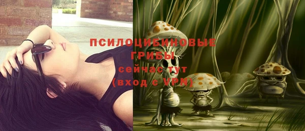 герыч Надым