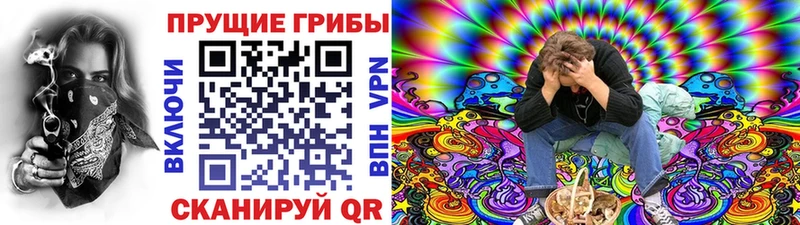 МЕГА ссылки Изобильный Псилоцибиновые грибы GOLDEN TEACHER цена наркотик