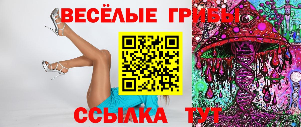 Изобильный  Псилоцибиновые грибы Psilocybine cubensis  Вход с VPN 